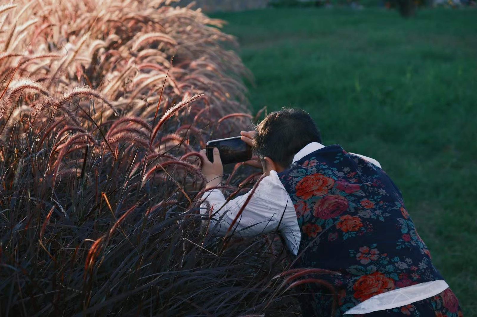 Reed photographer
