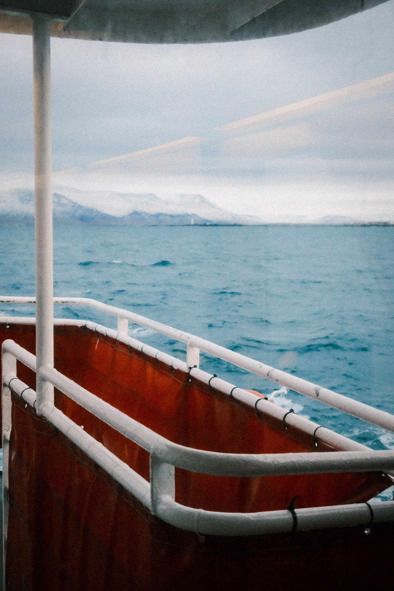 Whale watching