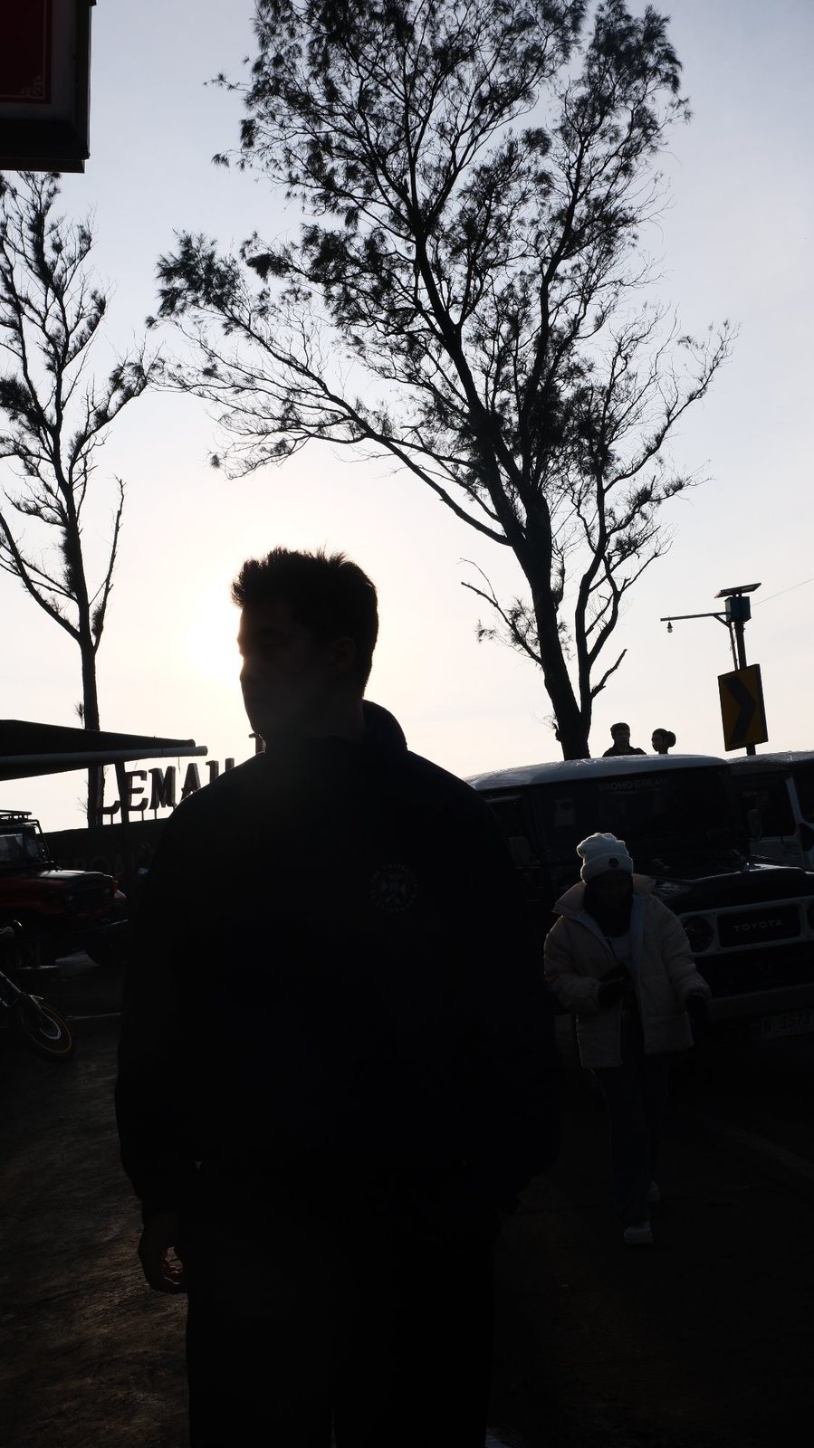 Bromo silhouette dawn