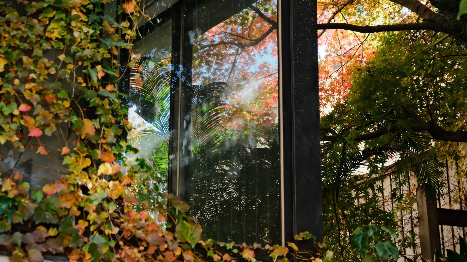 Autumn Window