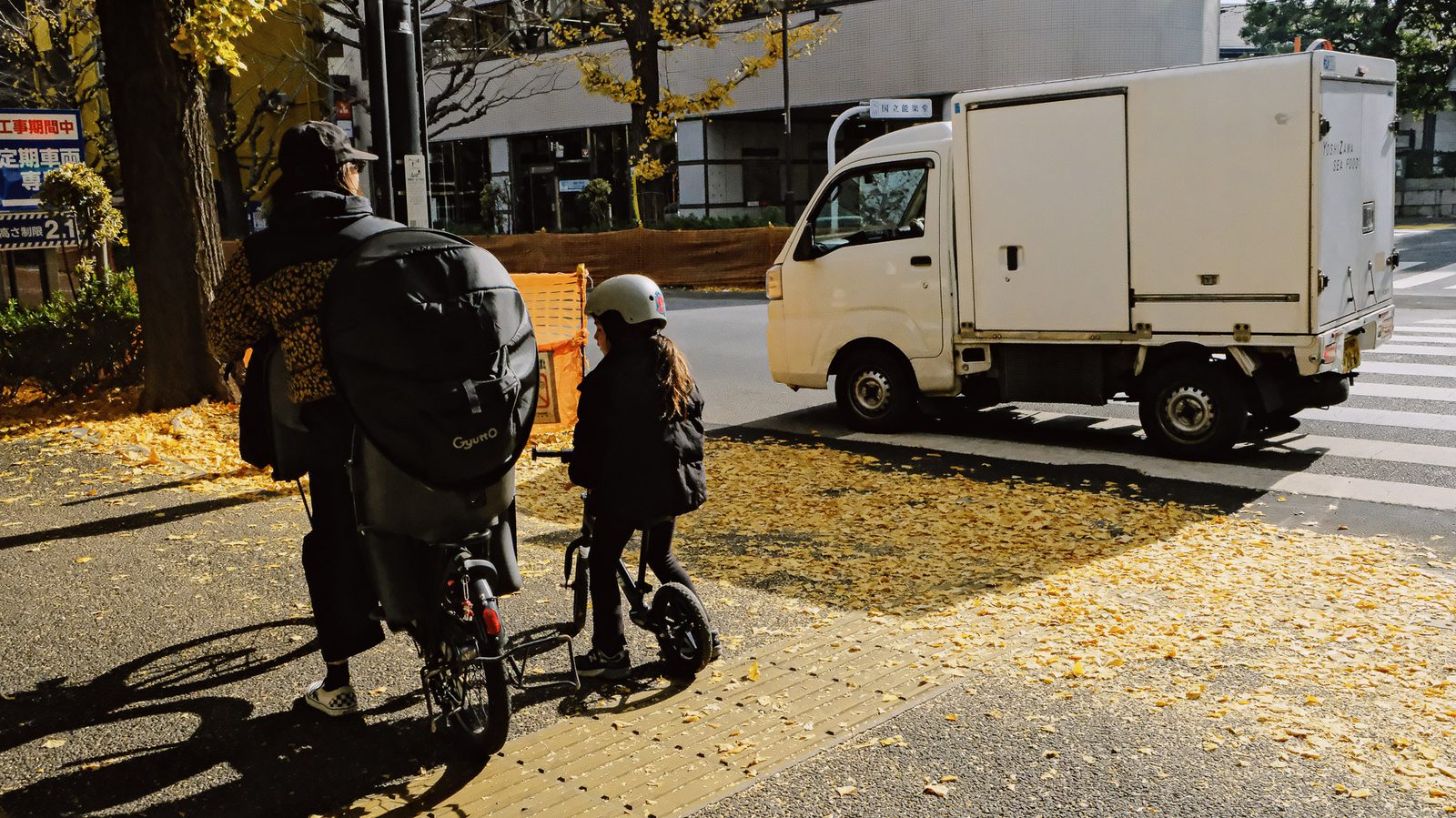Bicycle Ginkgo