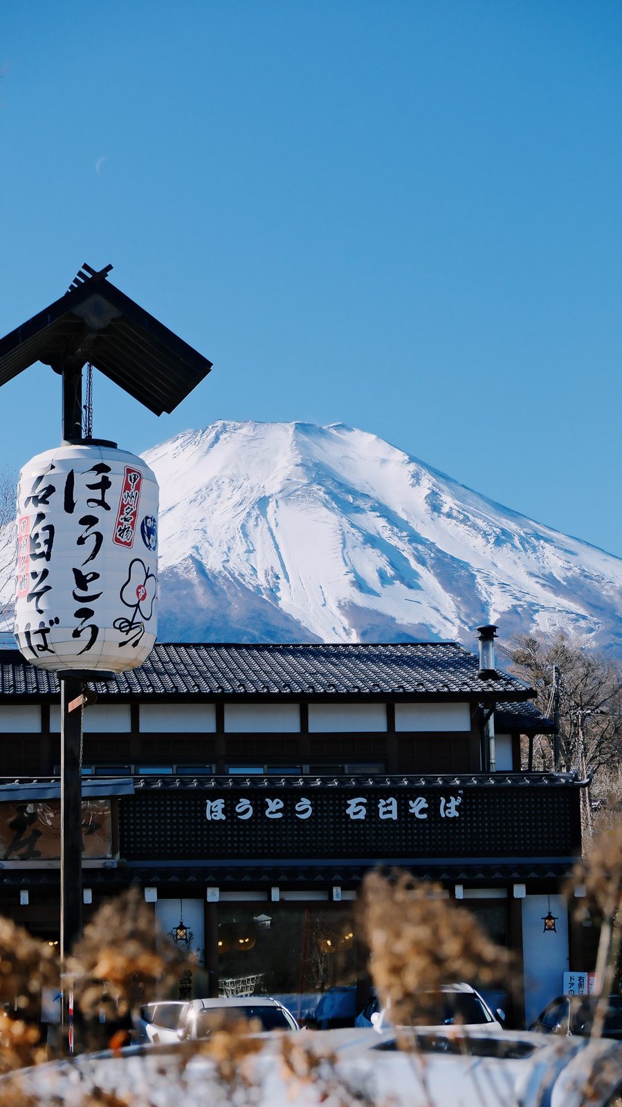 Fuji Village View