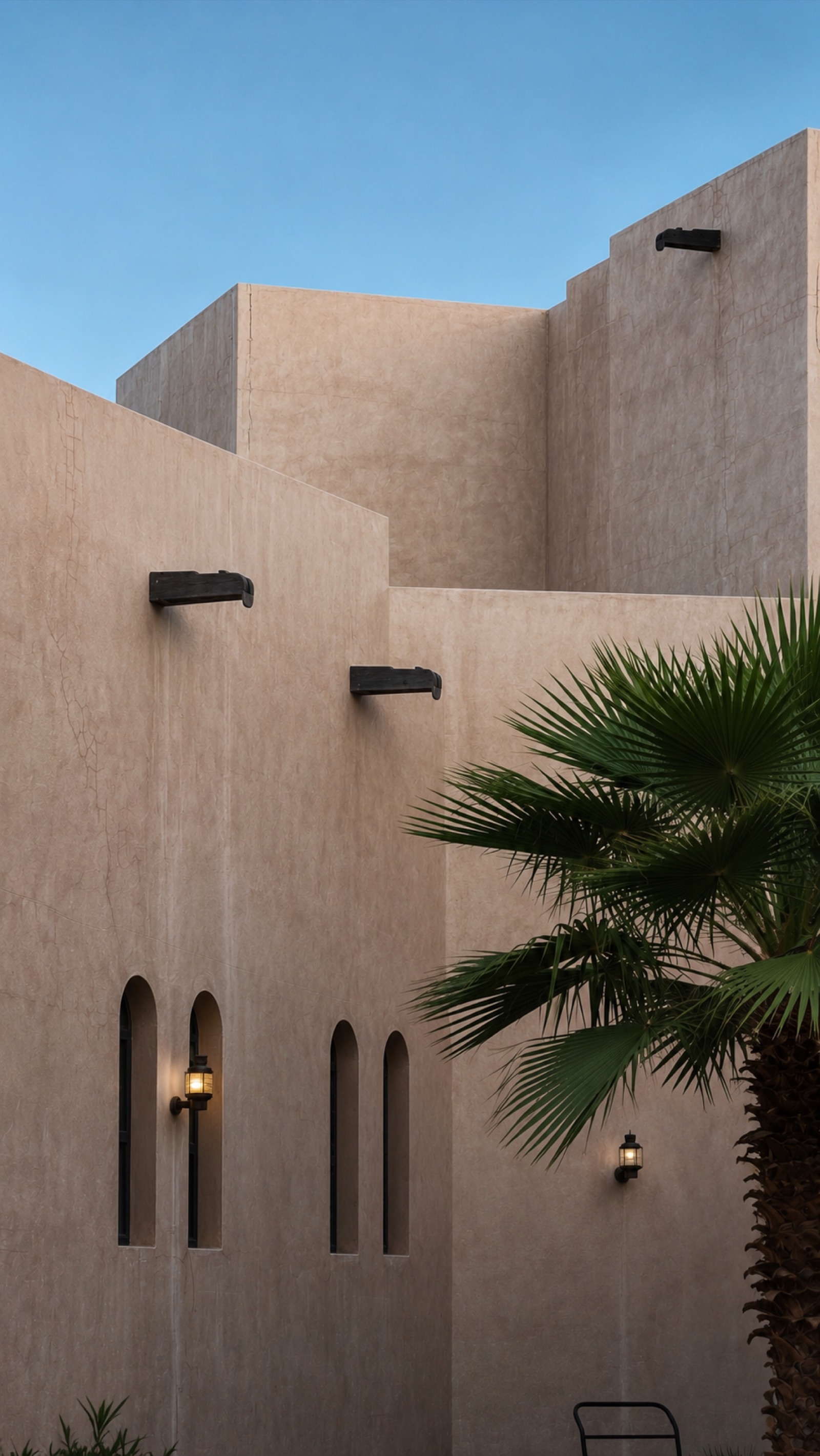 Palm beside pale walls