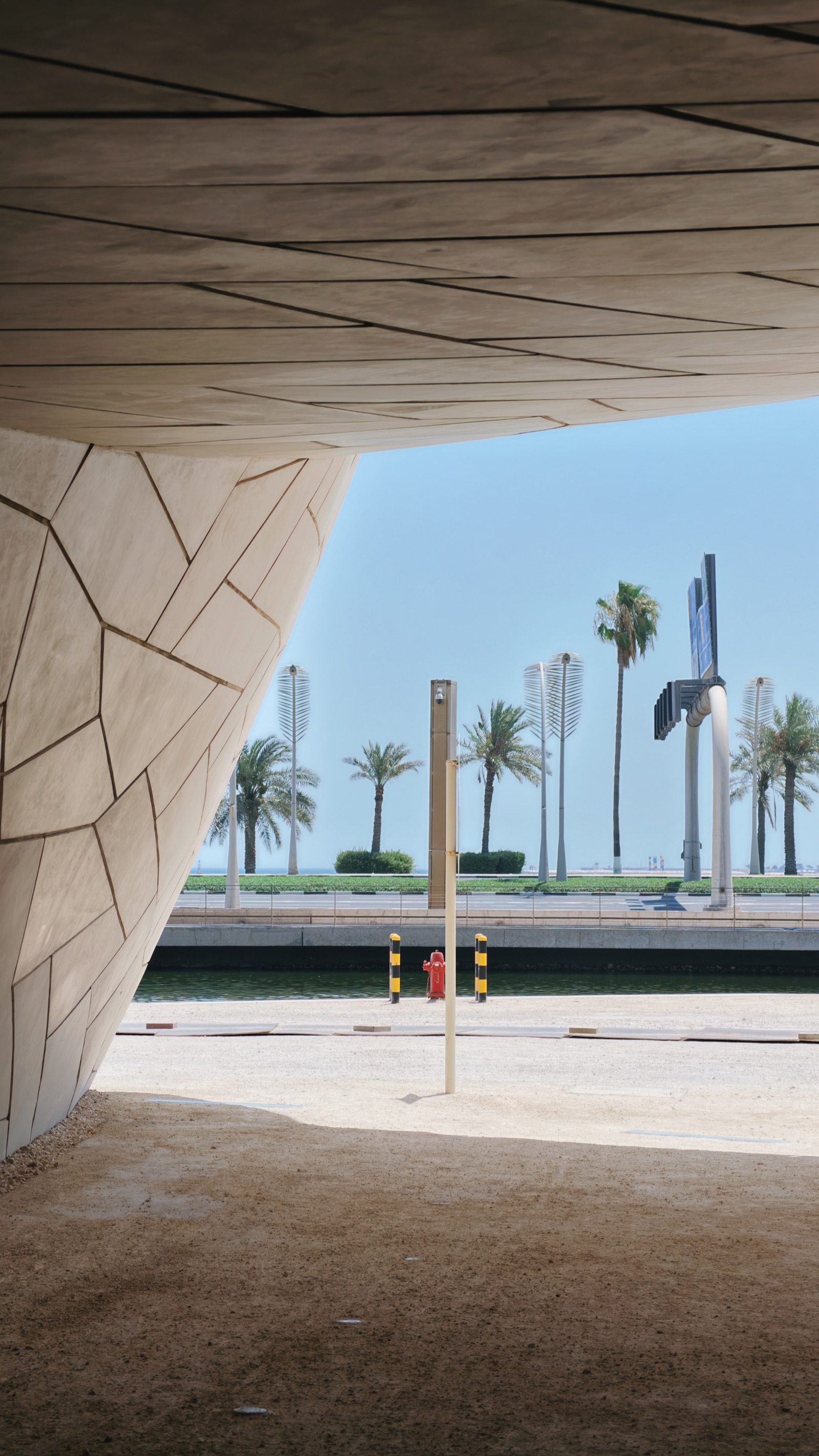 Palms seen through the museum