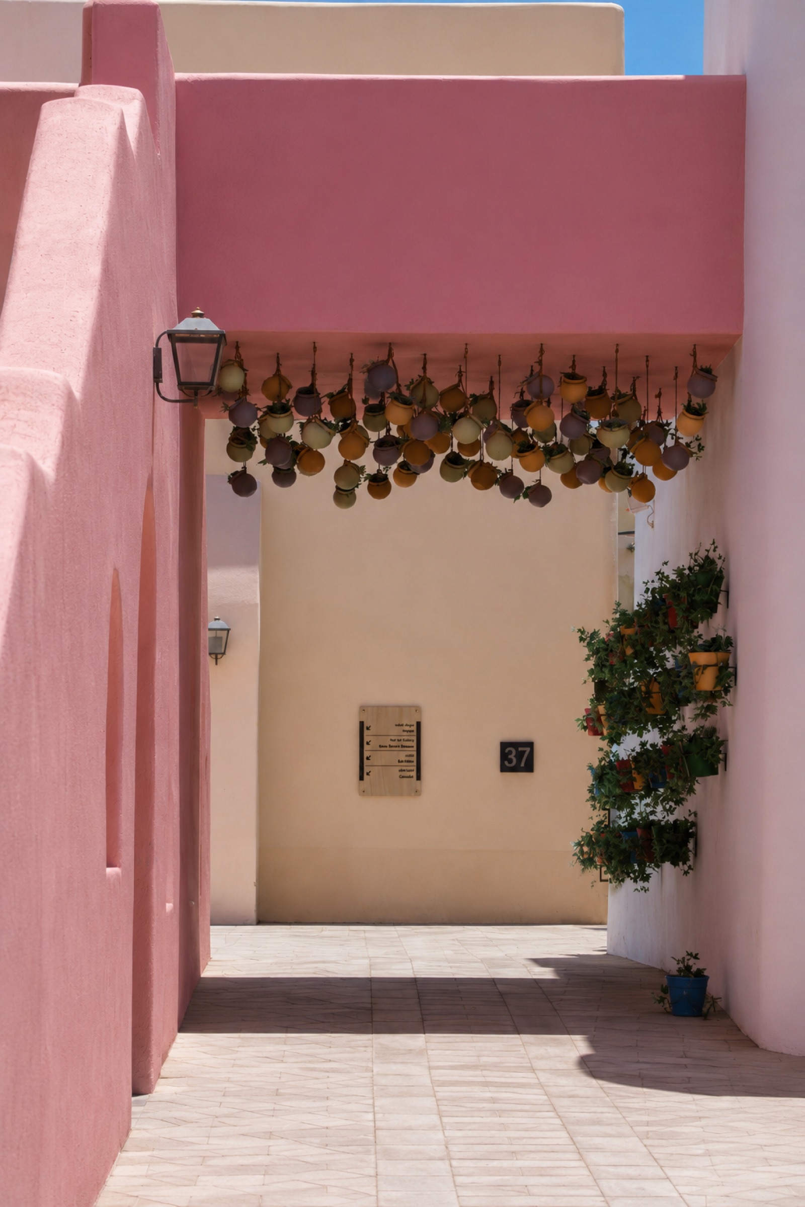 Pink courtyard with hanging plants