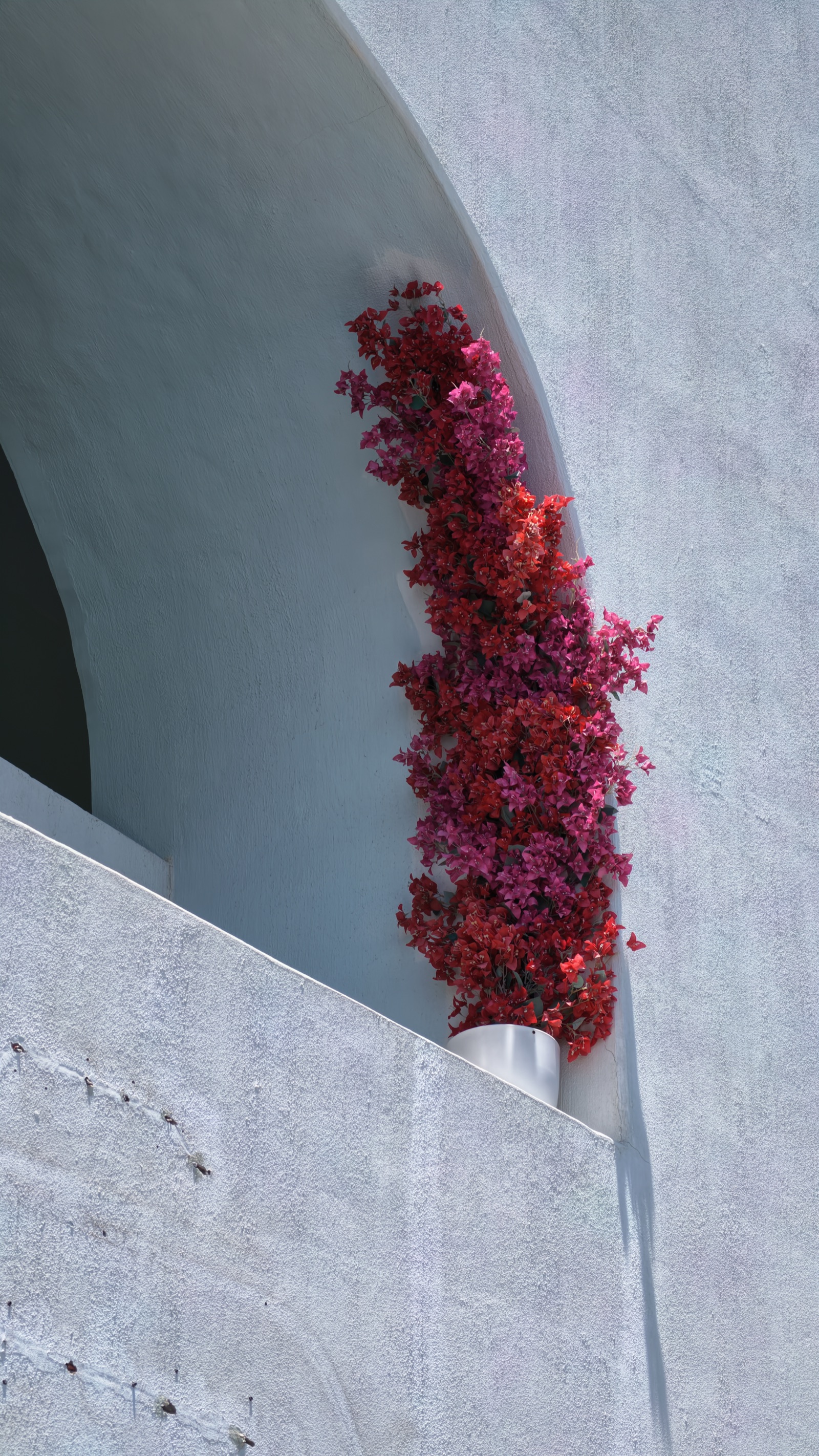 Red bougainvillea and arch