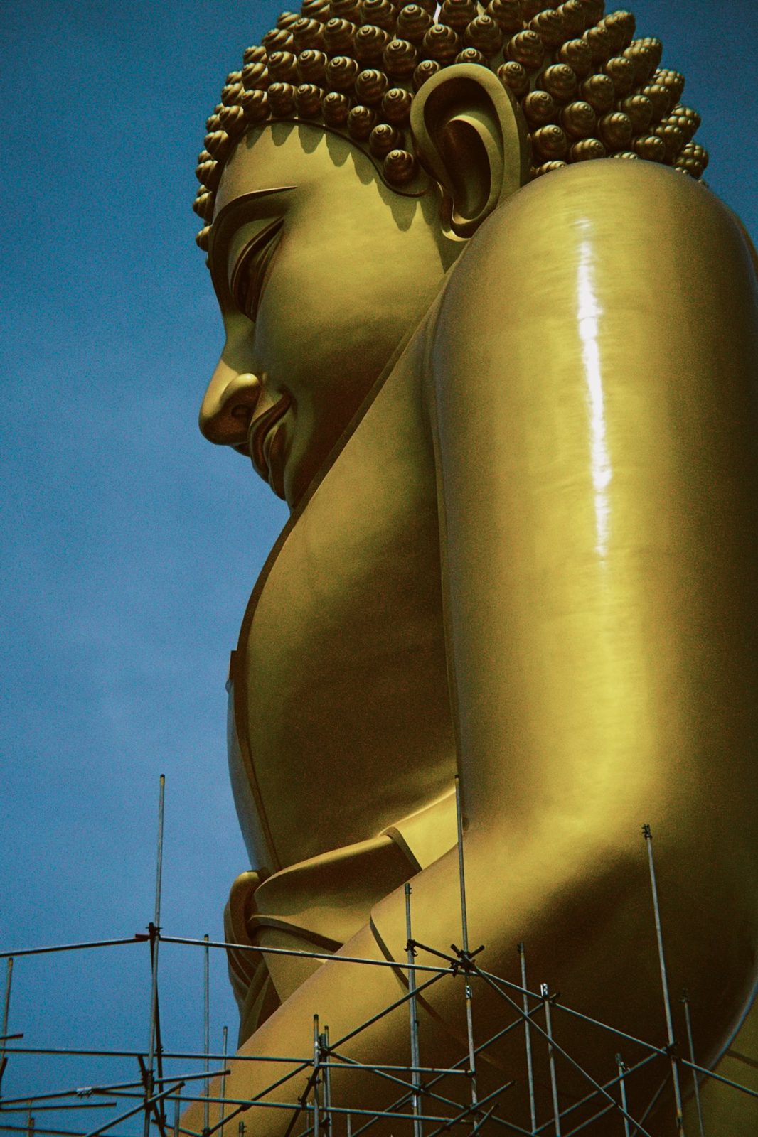 Giant Buddha profile