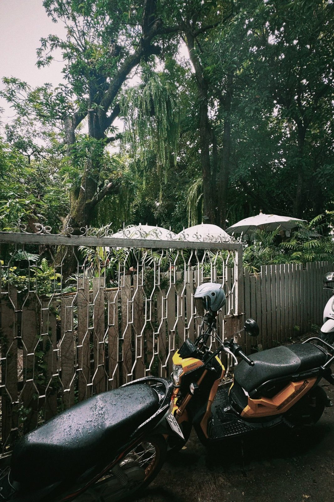 Motorbikes