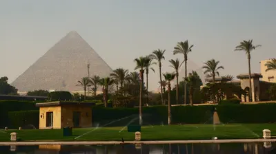 A pyramid rising above palm groves in Giza, Egypt