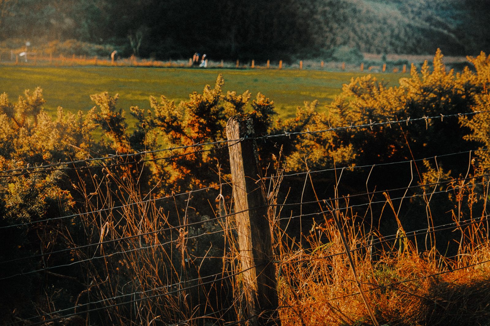 Countryside fence