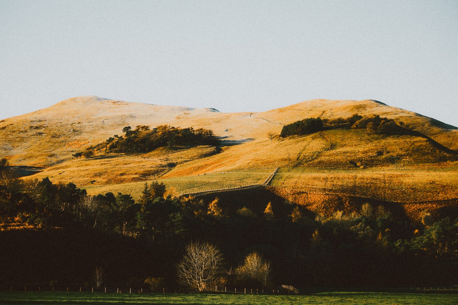 Scottish Highlands golden hour