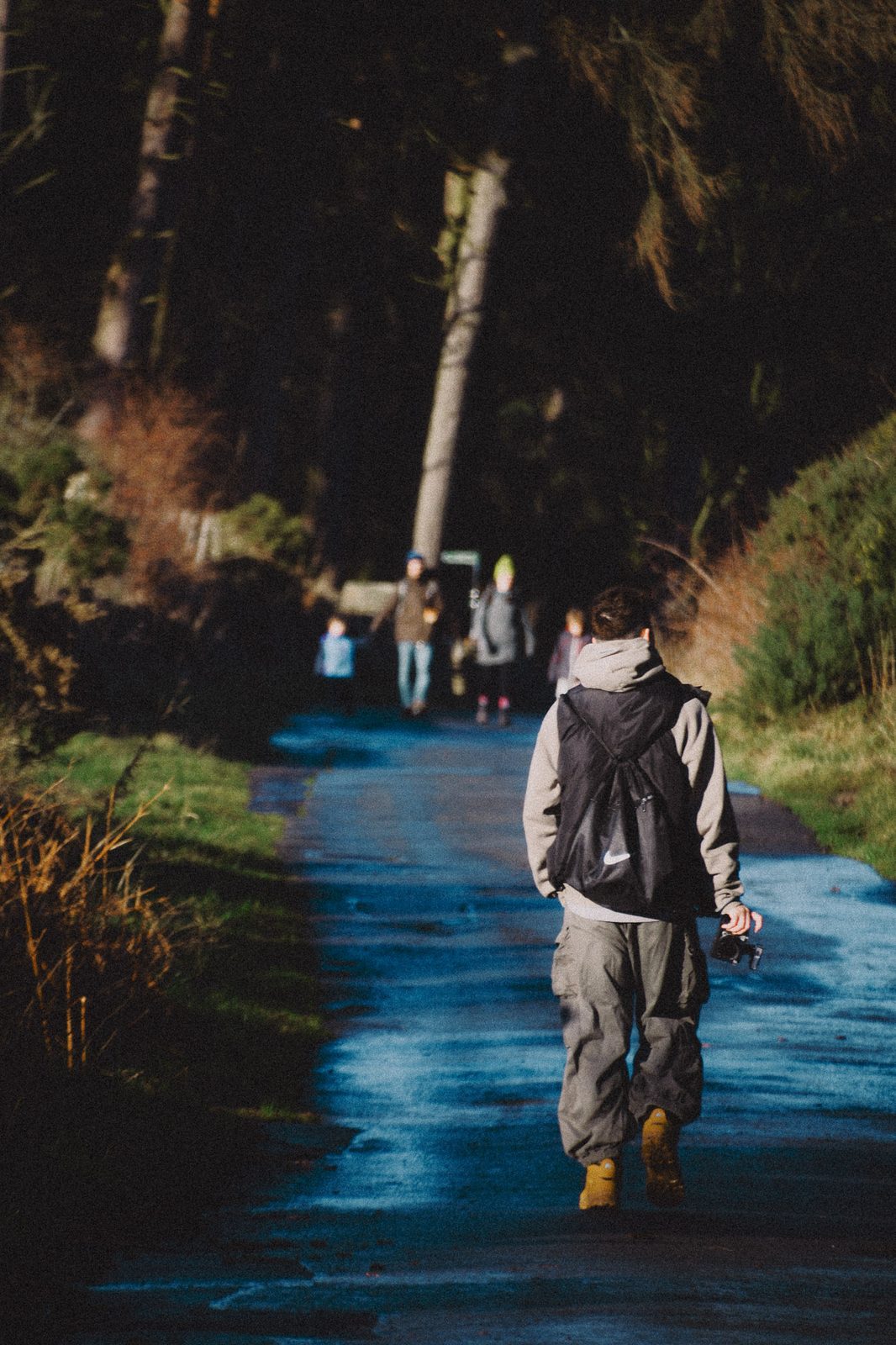 Walking through forest
