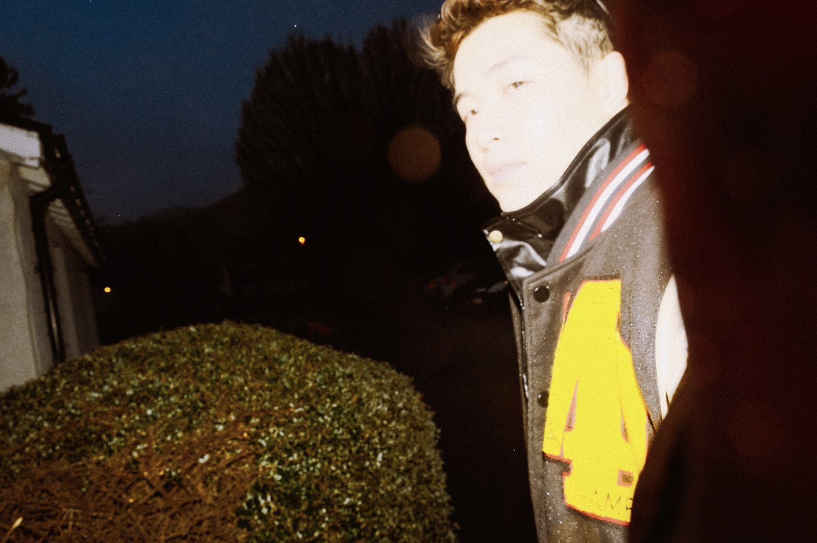 Night closeup
